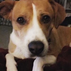 Meet your Posher, Cathy